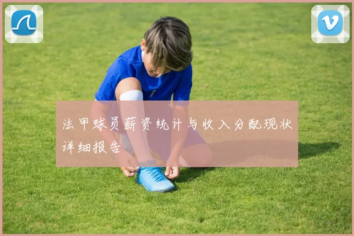 法甲球员薪资统计与收入分配现状详细报告