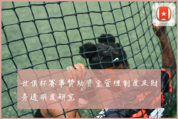 世俱杯赛事赞助资金管理制度及财务透明度研究